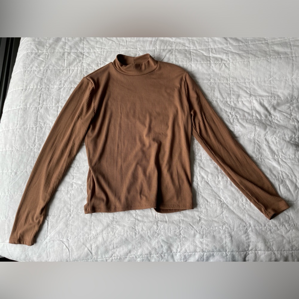 Brown Turtleneck Long Sleeve Top